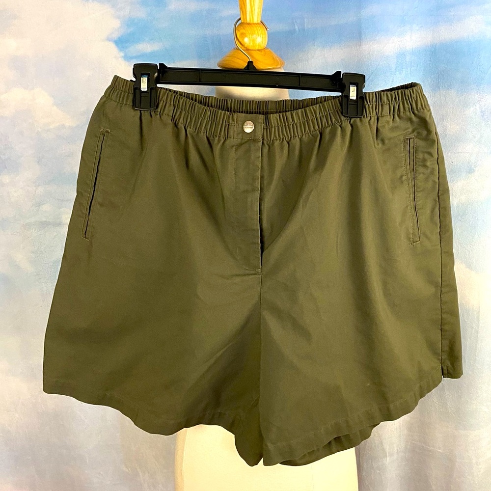 Karen Scott Sport Brown Khaki Shorts Size 18